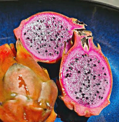 Dragon fruit - Pink Diamond