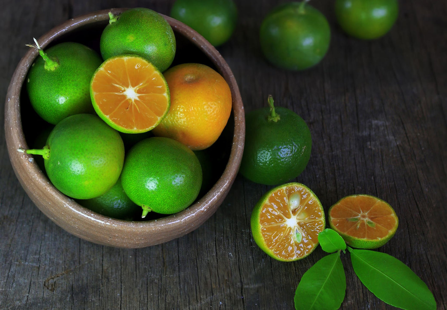 Dwarf Calamansi- Calamondin (QLD ONLY)