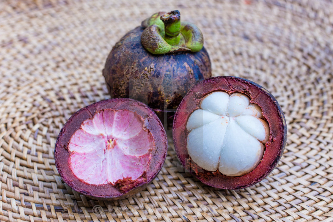 Mangosteen - Purple