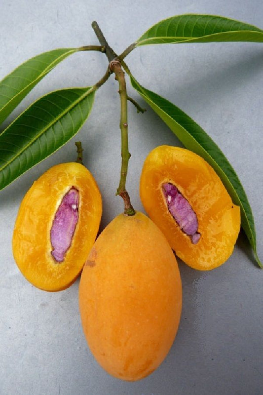 Maprang (Plum mango)