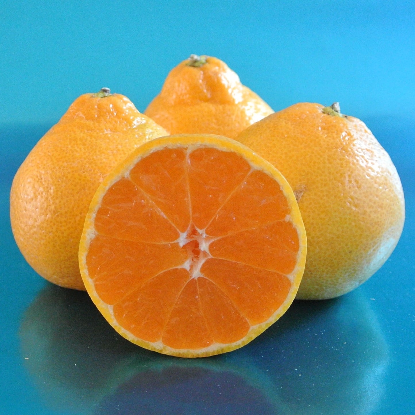 Mandarin - Miho Wase - Satsuma (QLD ONLY)