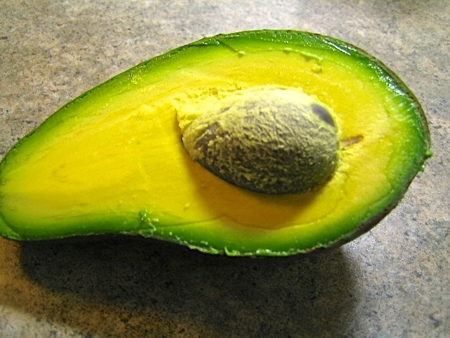 Avocado Sharwill (B Type) 2L – Ross Creek Tropicals