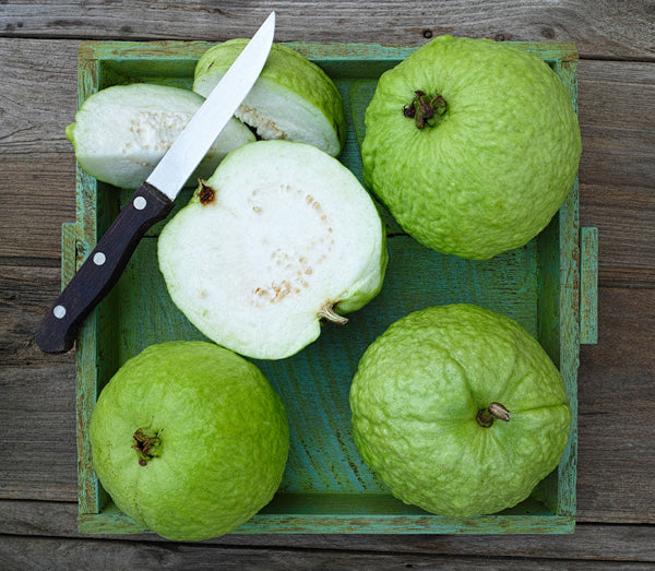 Guava Thai White – Ross Creek Tropicals