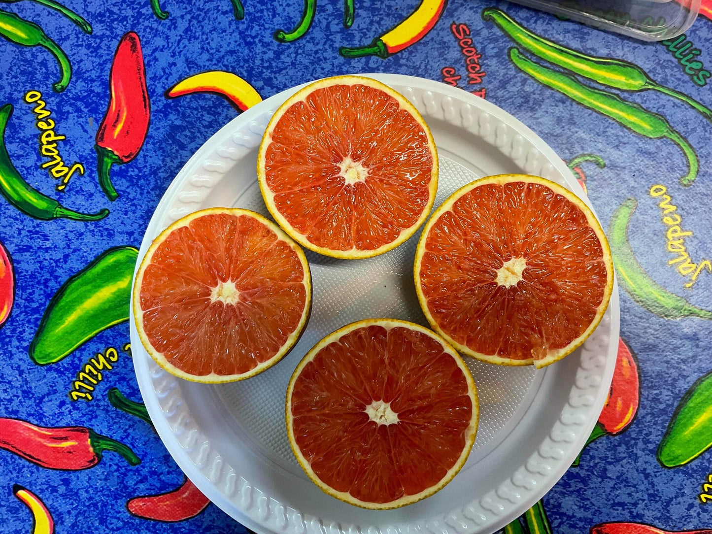 Orange - Aussie Sunset Seedless (Qld only)