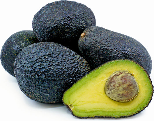 Avocado-DWARF Lamb Hass (A Type) 5l