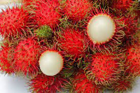 Rambutan